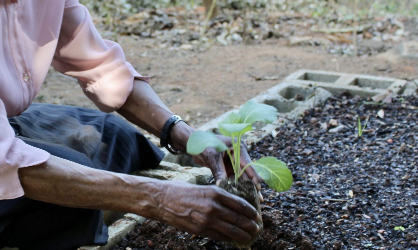 Cercada pelo verde, a Casa de Francisco é um espaço para vivenciar a ecologia integral