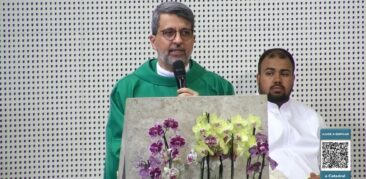 Homilia dominical: “Mestre, que eu veja o amor de Deus”