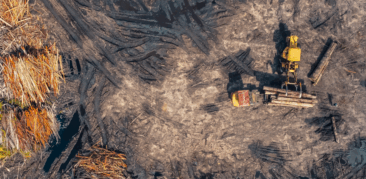 CNBB divulga Nota sobre PL de Licenciamento Ambiental