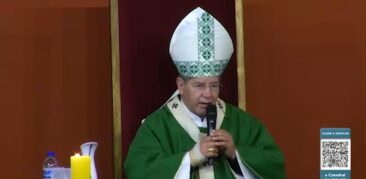 Homilia dominical: “Não se apegar ao que é passageiro”