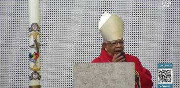 Homilia dominical: “A Cruz que era sinal de castigo, torna-se sinal de amor”