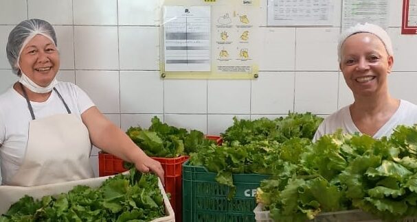 Horta da Casa de Francisco ajuda quem precisa recuperar a saúde