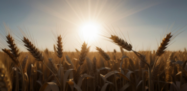 Nota de falecimento – Sra Deusita Ferreira e Sra Terezinha de Aguiar