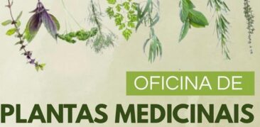Oficina gratuita de plantas medicinais no Santuário Arquidiocesano Senhor do Bonfim
