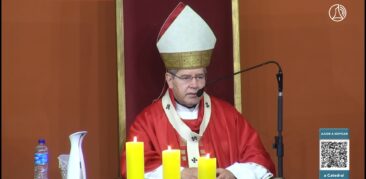 “A fé cristã católica é um tesouro” – Homilia dominical