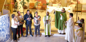 800 Árvores por Francisco: veja como participar dessa especial homenagem