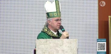 “Perdoar ilimitadamente” – Homilia dominical